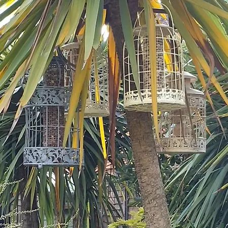 Homestay Tropical Garden Oasis