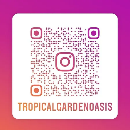 Homestay Tropical Garden Oasis *