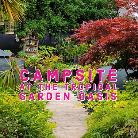 Tropical Garden Oasis * Birmingham