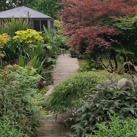 Tropical Garden Oasis Birmingham