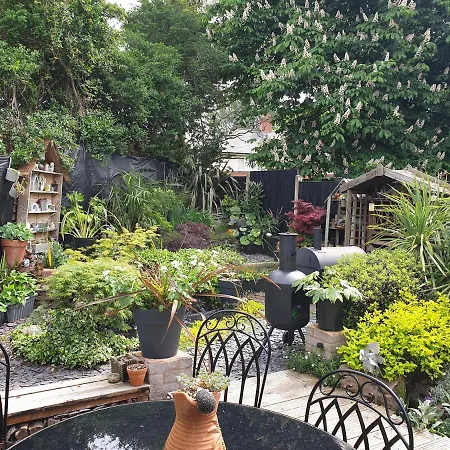 Tropical Garden Oasis Birmingam
